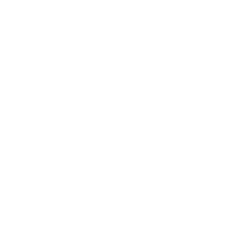 XBus logo