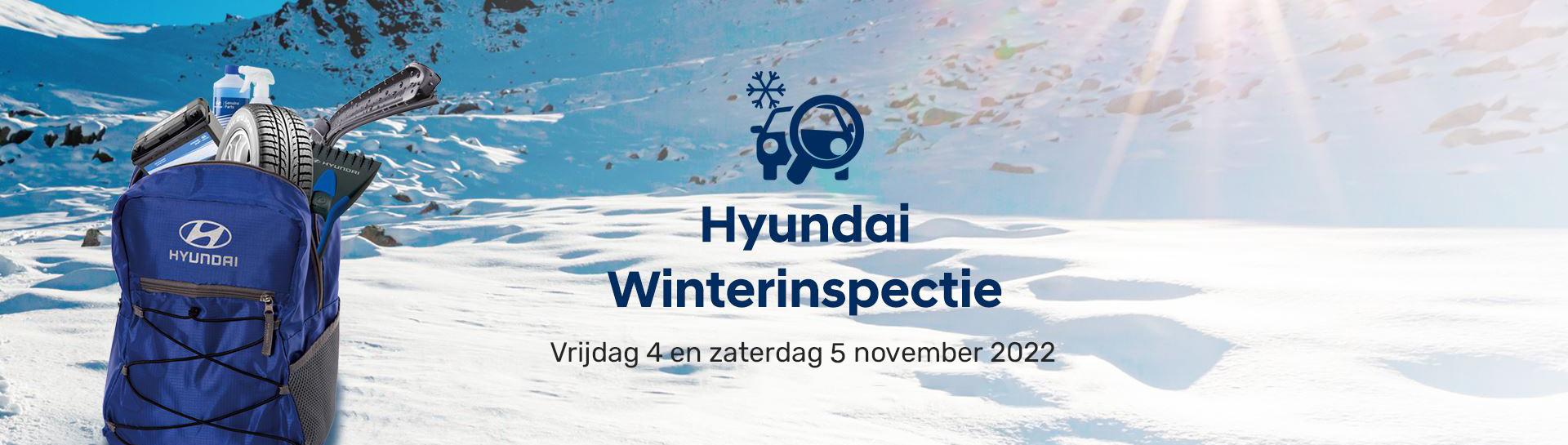 Hyundai Wintercheck 