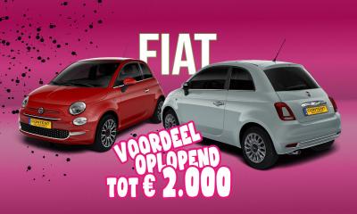 Fiat 500 Deal